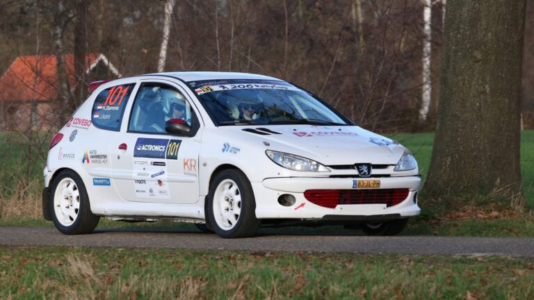 Peugeot 206 1.6 16v 130 pk